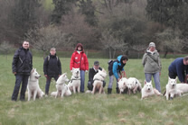 Merlin,Enola,Dyra,Attila,Dash,Davinia,Keona,Coralie